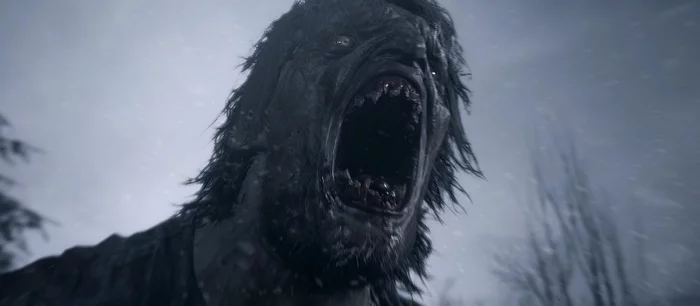 Бразильский сайт рассказал, выйдет ли Resident Evil Village на PS4 и Xbox One