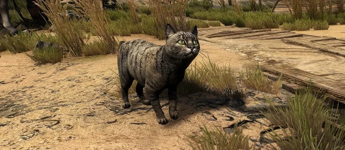 Для The Witcher 3 вышел мод, улучшающий котиков и других животных