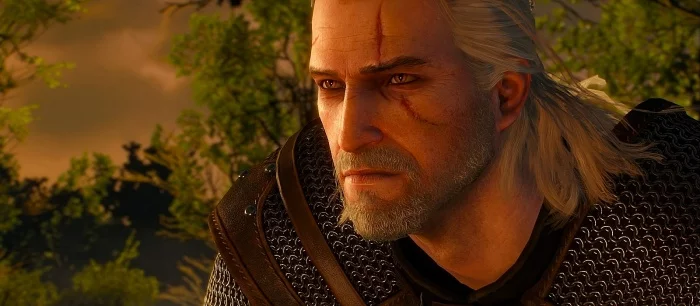 Фанат добавил в Skyrim ведьмачье оружие, зелья и врагов из The Witcher 3