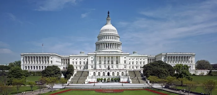 Художник своеобразно пошутил над событиями в Капитолии