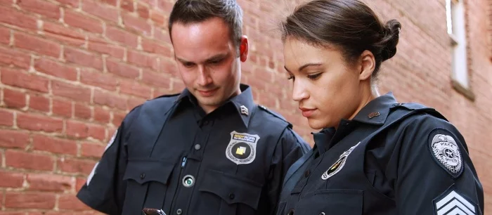 Пираты выложили в сеть симулятор американского полицейского