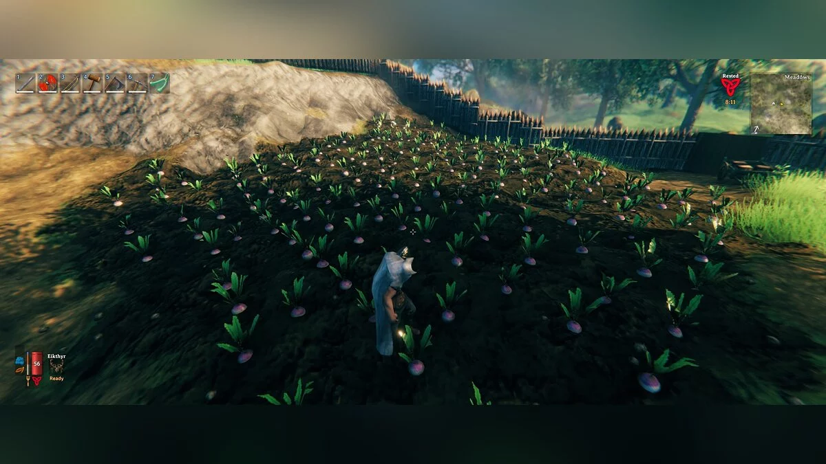 Valheim ячмень. Семена репы Valheim. Семена репы Вальхейм. Valheim еда.