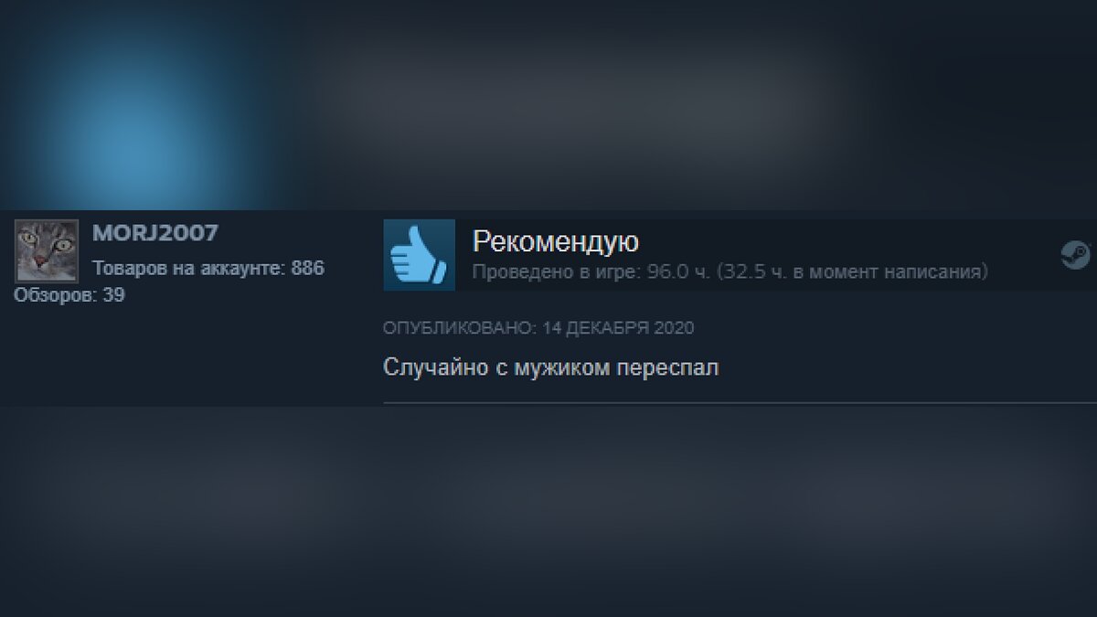 Подборка смешных отзывов на игры в Steam. Кратко и остроумно о Red Dead  Redemption 2, Valheim, «Ведьмак 3: Дикая Охота», CS: GO, GTA 5 и других  хитах