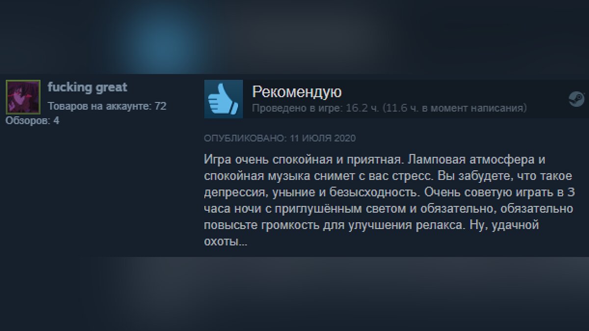 Подборка смешных отзывов на игры в Steam. Кратко и остроумно о Red Dead  Redemption 2, Valheim, «Ведьмак 3: Дикая Охота», CS: GO, GTA 5 и других  хитах