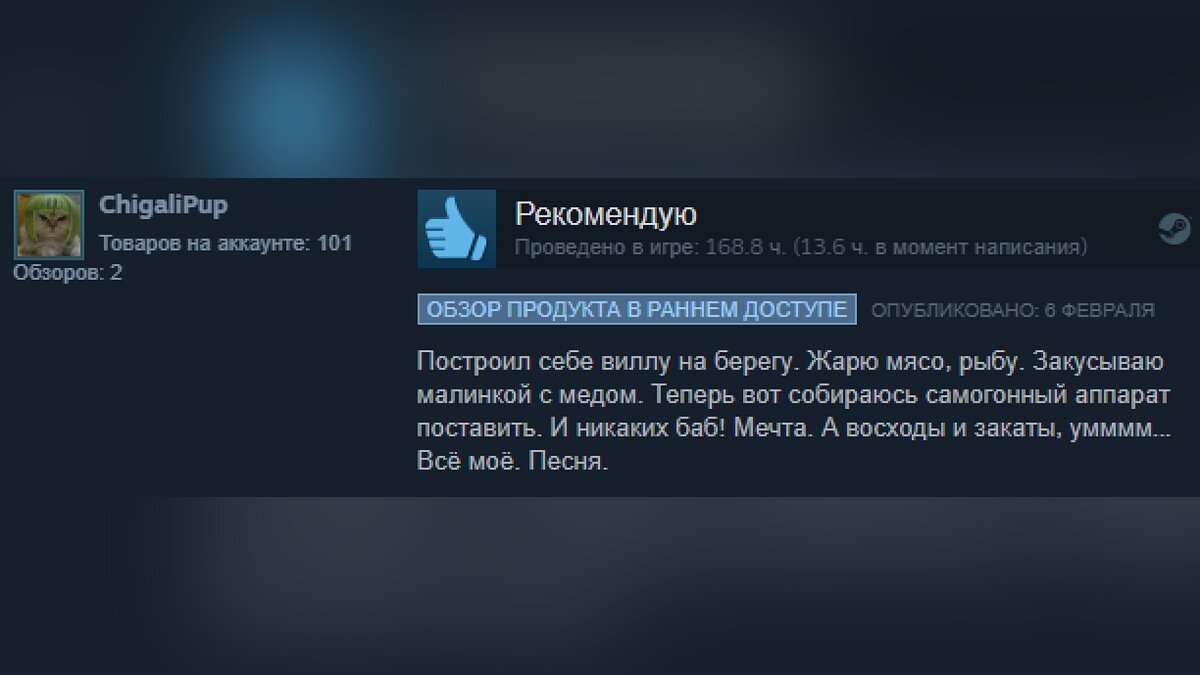 Подборка смешных отзывов на игры в Steam. Кратко и остроумно о Red Dead  Redemption 2, Valheim, «Ведьмак 3: Дикая Охота», CS: GO, GTA 5 и других  хитах