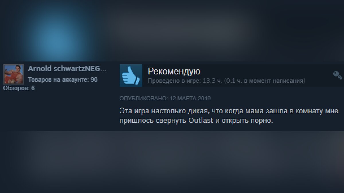 Подборка смешных отзывов на игры в Steam. Кратко и остроумно о Red Dead  Redemption 2, Valheim, «Ведьмак 3: Дикая Охота», CS: GO, GTA 5 и других  хитах