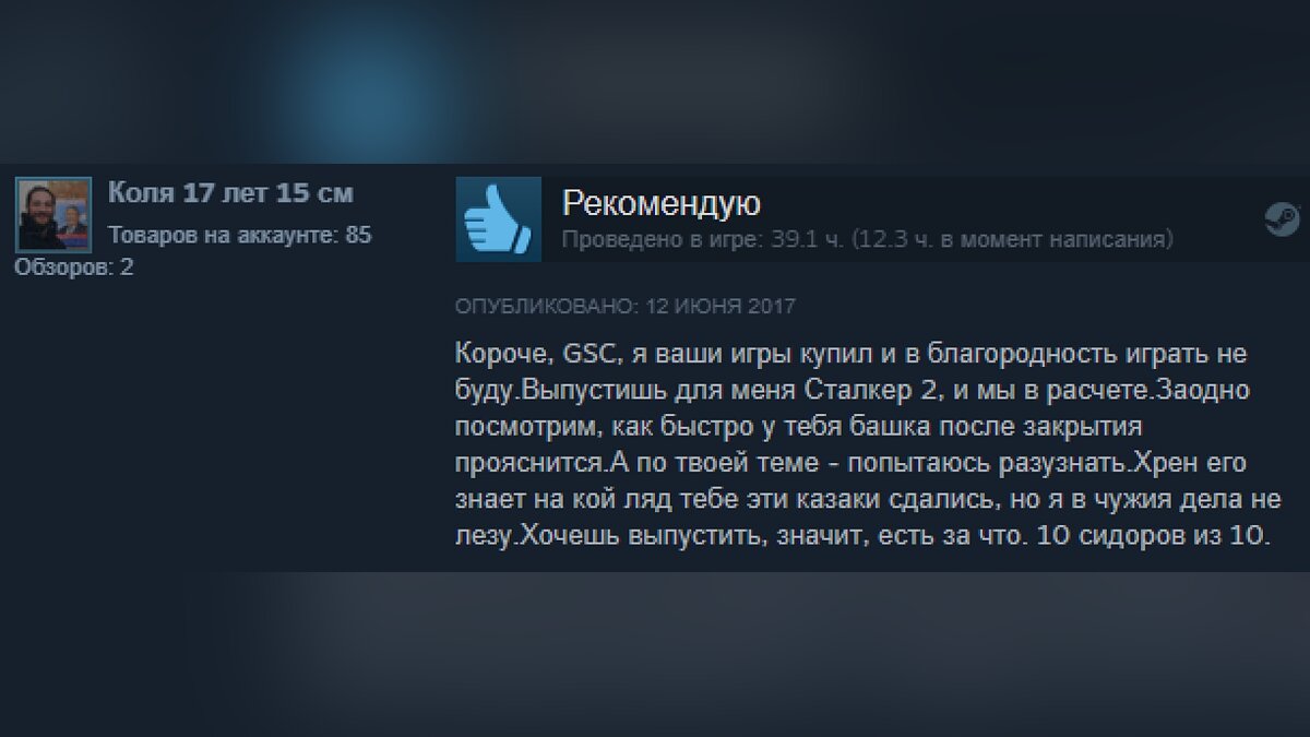 Подборка смешных отзывов на игры в Steam. Кратко и остроумно о Red Dead  Redemption 2, Valheim, «Ведьмак 3: Дикая Охота», CS: GO, GTA 5 и других  хитах