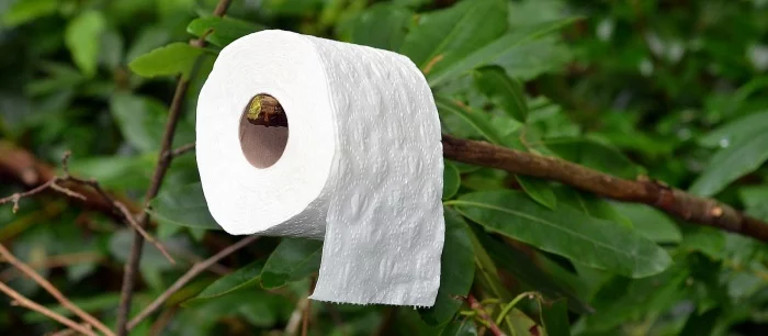 А подсветка будет? Razer вложилась в производство «зеленой» туалетной бумаги