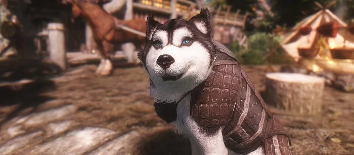 Для Skyrim вышел «лучший мод за последние годы»: он позволяет гладить собак