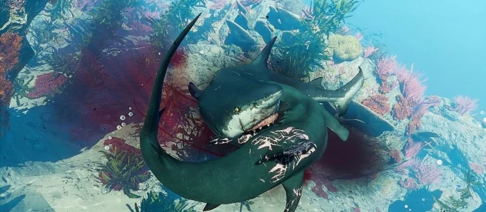Экшен Maneater про акулу-людоеда получит дополнение Truth Quest. Опубликован тизер (видео)