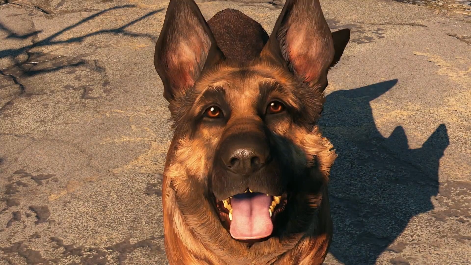 собака из fallout 4 (118) фото