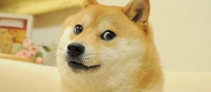 Популярный мем стал самым дорогим в истории. Вот сколько за него заплатили