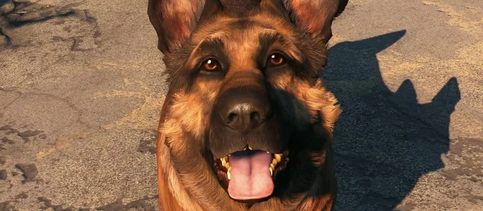 Press F: умерла собака, сыгравшая Псину в Fallout 4. Разработчик вспомнил, как весело было создавать пса для героя
