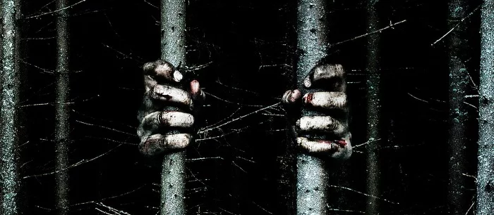 Стивен Кинг рассказал, какой фильм его до жути напугал. По его мотивам даже сделали игру