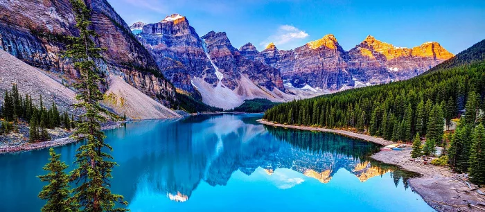 В Steam анонсировали «обратный градостроительный симулятор» про спасение природы