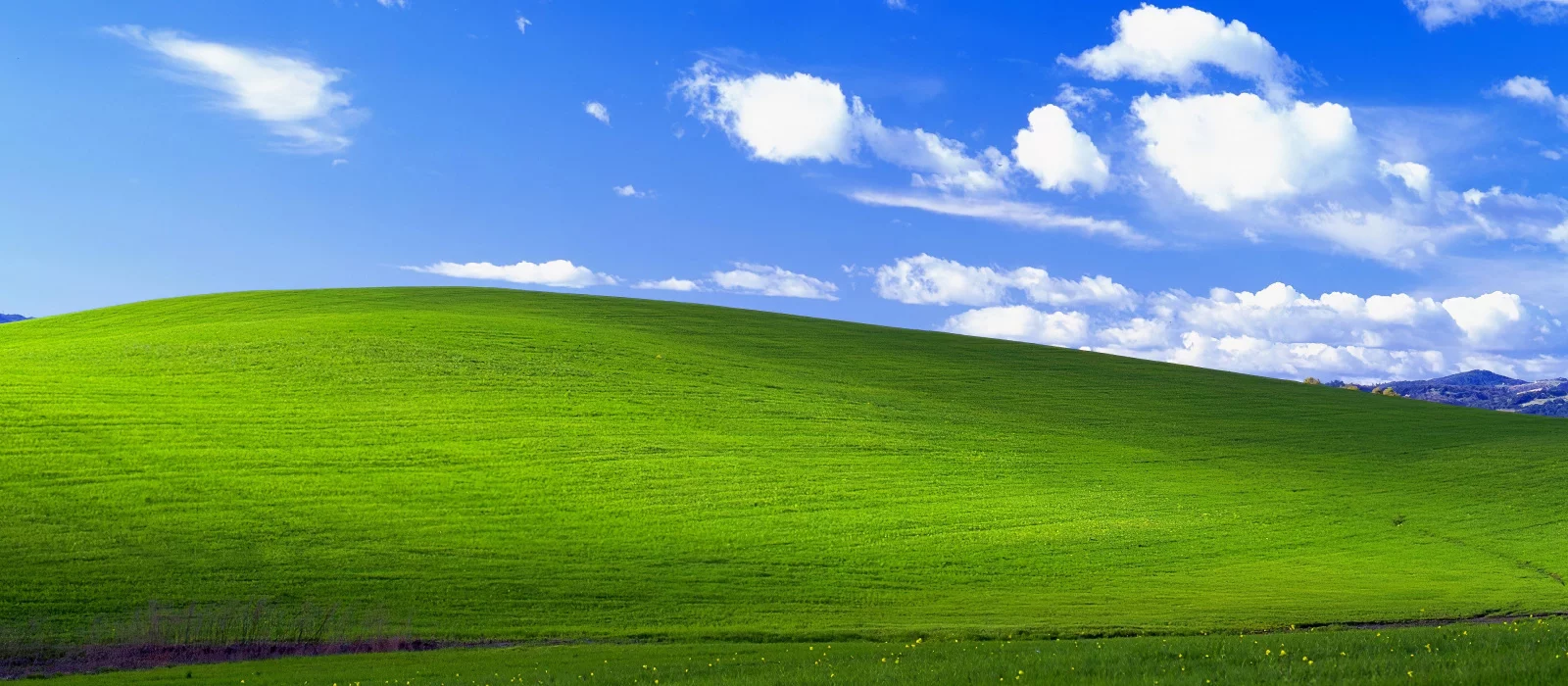 как скачать стим на windows xp фото 89