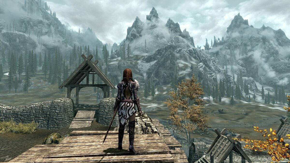 Эволюция The Elder Scrolls, или Как мы ждем TES 6. От TES: Arena и  Morrowind до великих Oblivion и Skyrim