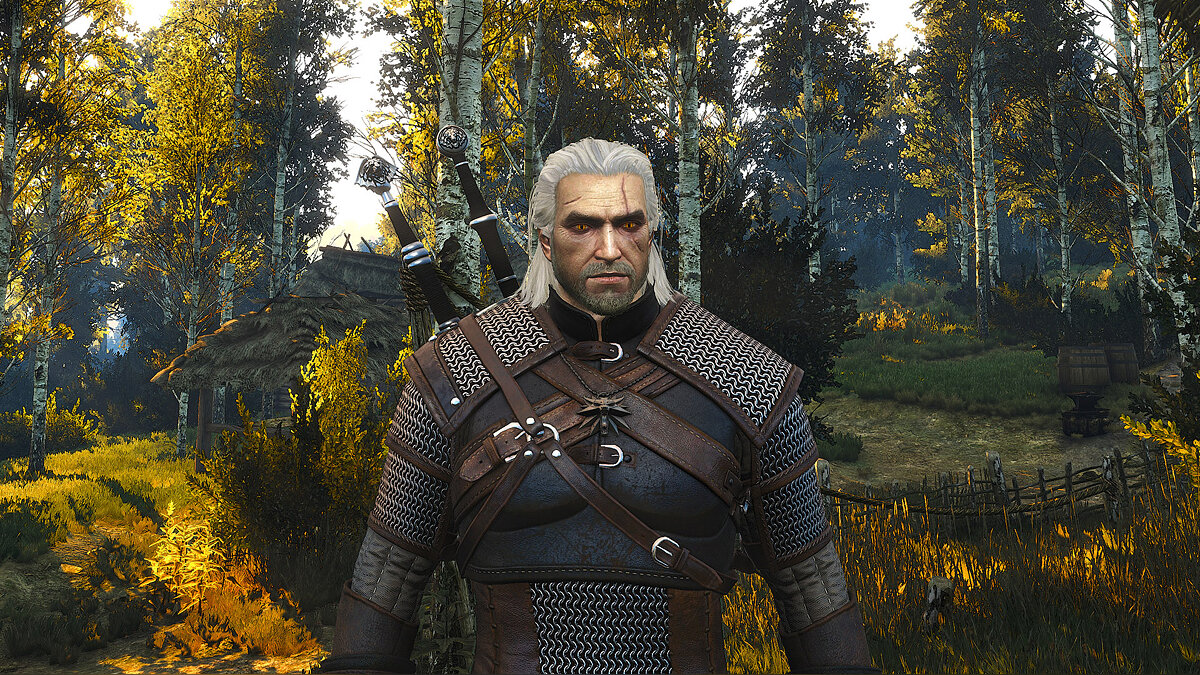 The witcher 3 моды геральт фото 47