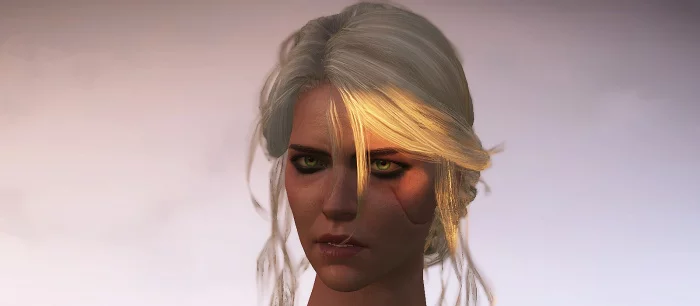 Фанат показал созданную в реальности броню Школы Медведя для Цири из The Witcher 3. На работу ушло 2 года