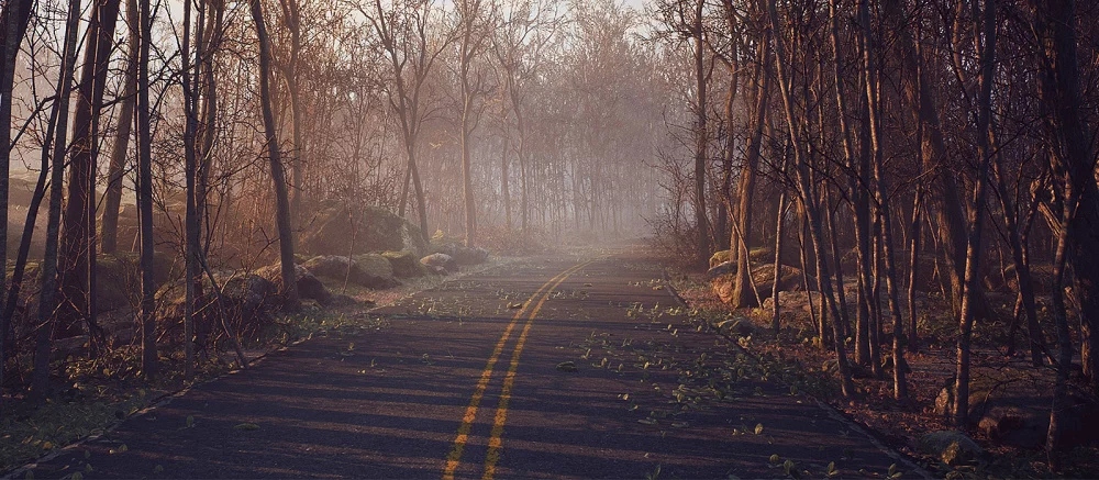 Вышел новый трейлер атмосферного симулятора выживания с открытым миром, крафтом и мутантами