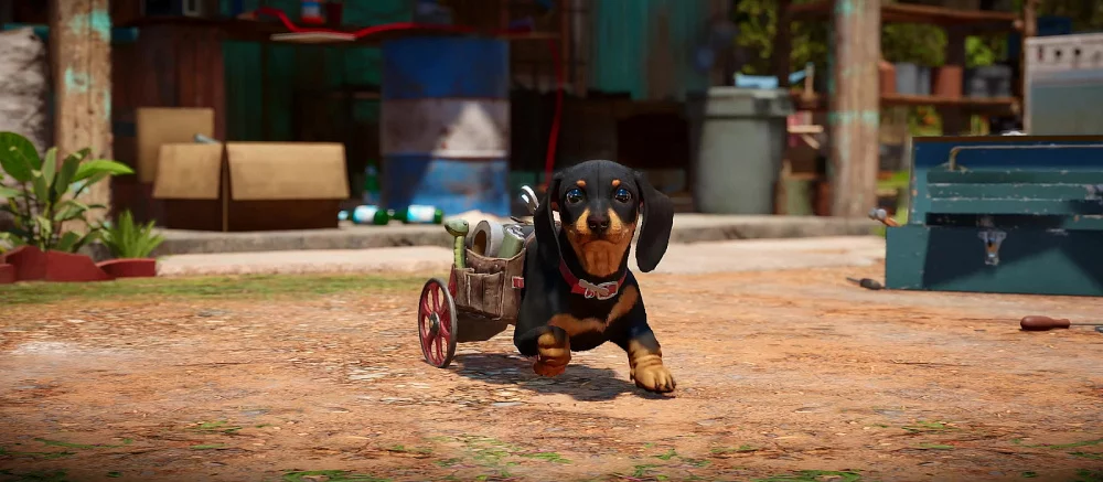 Где найти всех компаньонов-животных (Амиго) в Far Cry 6. Как получить аллигатора, собак, петуха и пантеру и найти три реликвии Триады