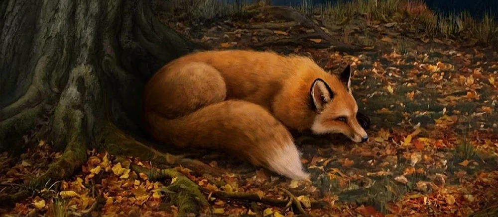 Прохождение квеста «Клуб Романтики. Легенда Ивы» (4 сезон, 1-11 серии) — все выборы и решения