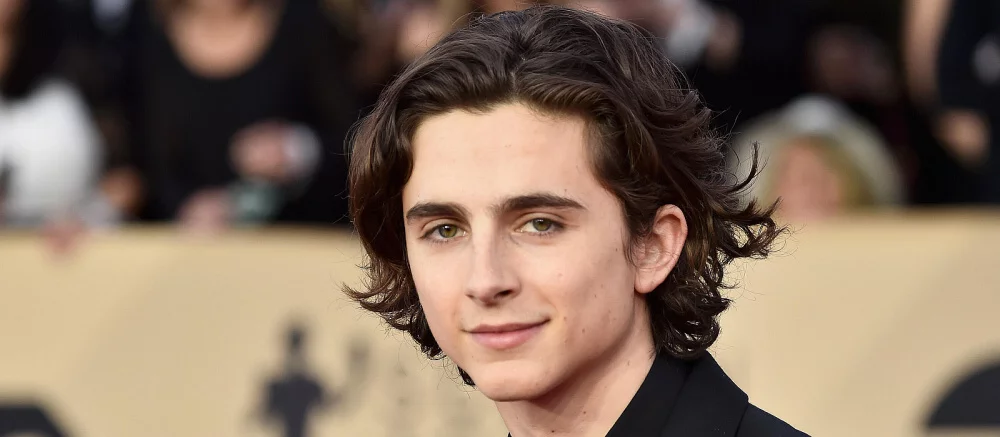 Звезда «Дюны» Тимоти Шаламе разукрашивал геймпады для Xbox 360. Его ролики до сих пор на YouTube