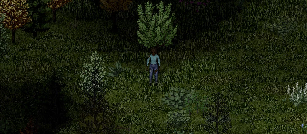 Как добывать еду в лесу и использовать первые собранные предметы в Project Zomboid