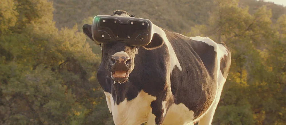 Турецкий фермер увеличил надои у коров с помощью VR-шлемов — киберпанк, который мы заслужили