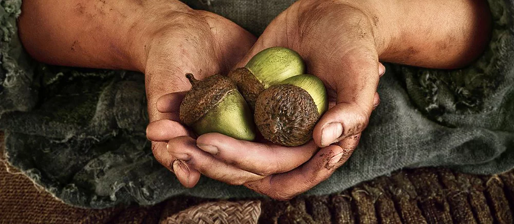 Amazon на свежих кадрах сериала «Властелин колец: Кольца власти» засветила новых персонажей