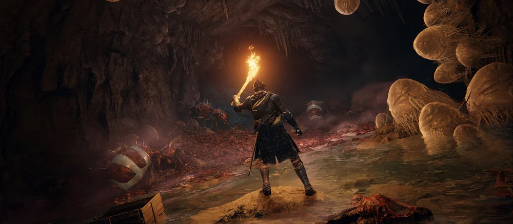 Илон Маск внезапно рассказал о любимом билде в Elden Ring и дал совет при игре за мага