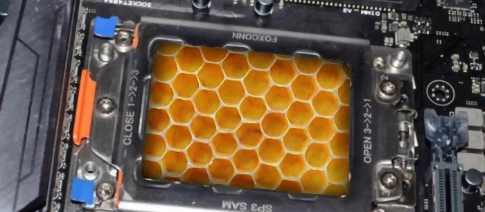 Вместо кремния: ученые используют мед для микрочипов завтрашнего дня