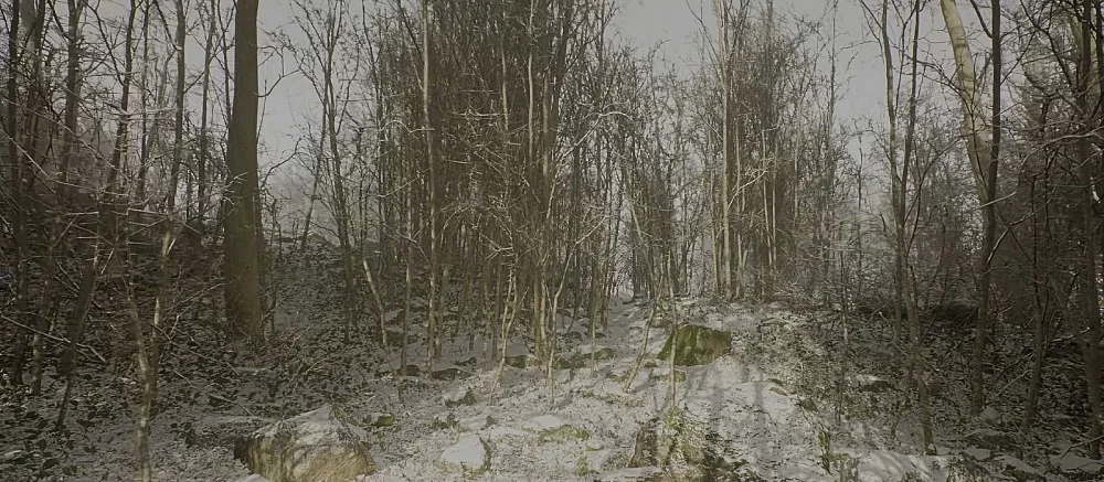 Abandoned не существует? СМИ утверждают, что да, разработчики возражают