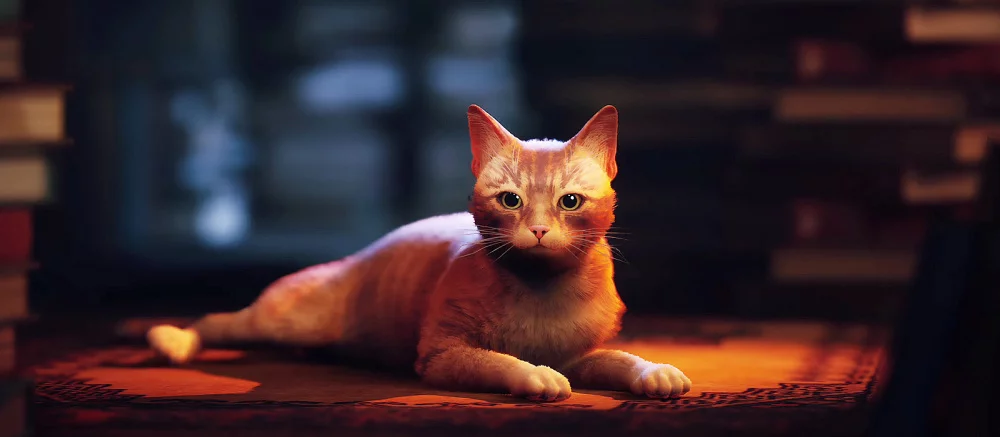 Появился геймплейный трейлер Stray — это киберпанк-адвенчура с открытым миром про кота-путешественника