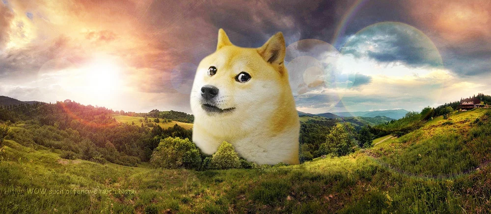 В CS:GO воплотили в реальность популярный мем с песиком Чимсом. Ролик уже завирусился в TikTok и собрал полмиллиона просмотров