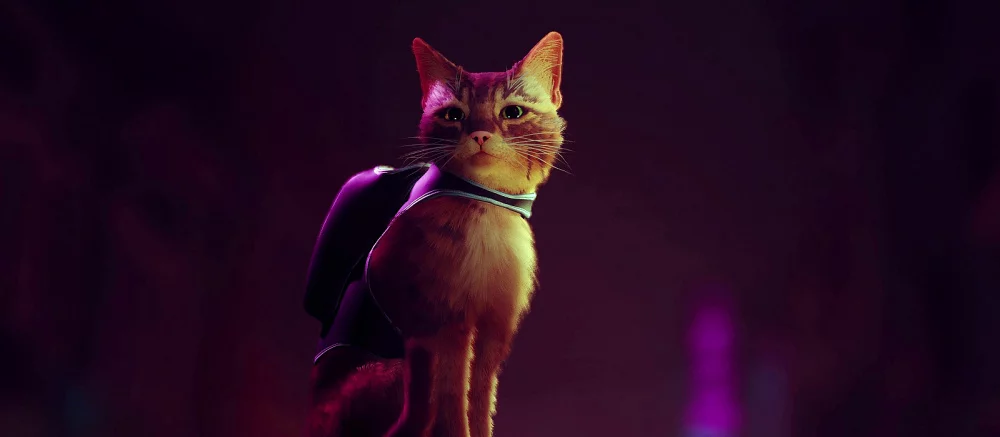 Авторы той самой киберпанк-игры про котика Stray показали своих питомцев