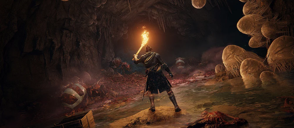 Геймер провёл в Elden Ring 1000 часов и «сломал» игру