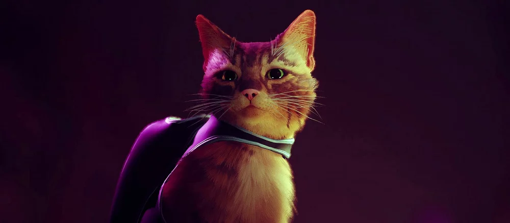 Итоги конкурса с халявными Stray! Чьи котики забрали самую желанную игру в Steam?