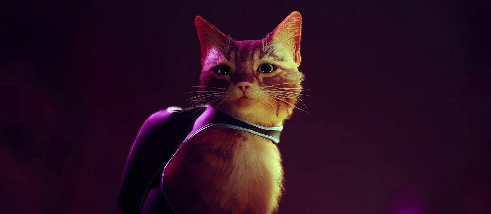 Конкурс с халявной Stray! Отдаем самую желаемую игру в Steam за самое смешное фото котика