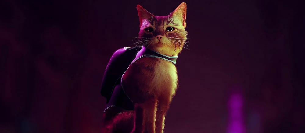 Кооператив в Stray: как играть на одном экране с друзьями и другими игроками