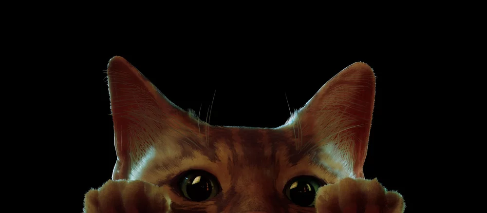 Котики снова захватили интернет! Геймеры массово показывают, как их питомцы реагируют на героя Stray — видео