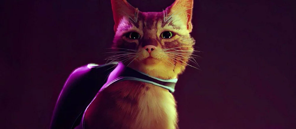 Провал или одна из лучших игр года? Критики оценили киберпанк-игру про милого котика — Stray