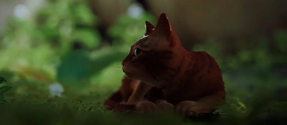 Опубликованы первые 20 минут геймплея «кошачьего» киберпанка Stray