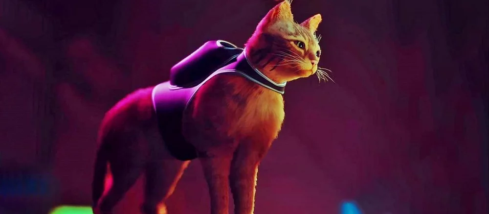 Полное прохождение Stray. Как найти все коллекционные ноты, значки и воспоминания