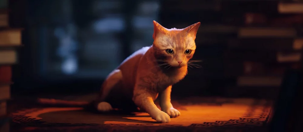 Раскрыто коллекционное издание Stray, самой желанной игры в Steam — видео