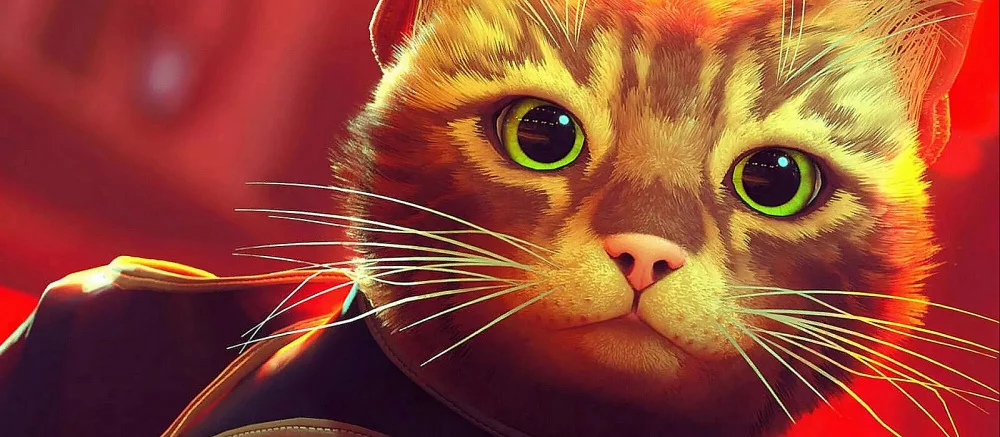 Stray стала самой высокооценённой игрой за 2022 год в Steam. Она обошла God of War