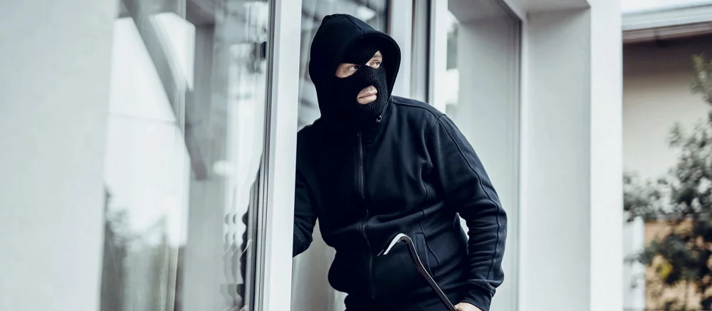 Видео: сосед обокрал стримершу и случайно засветился в прямом эфире