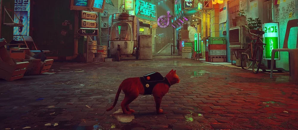 Все коды от сейфов и дверей в Stray: где найти и как применить пароли