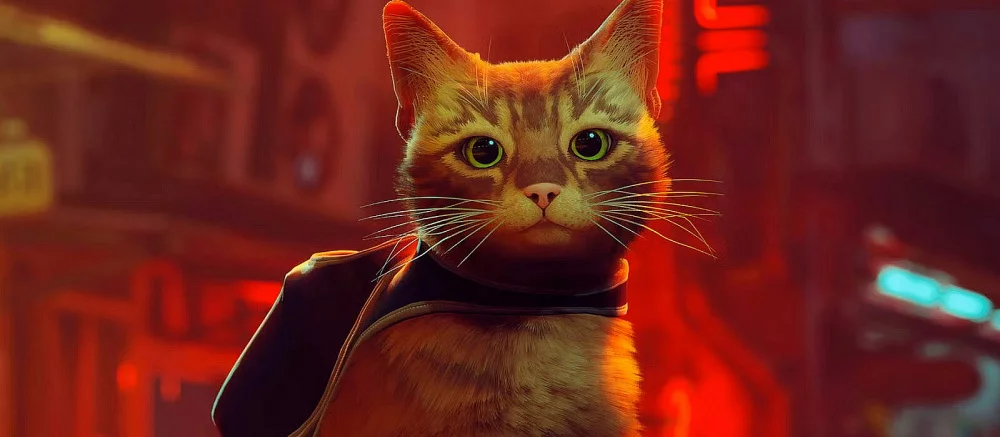 Дисковые издания Stray для PS5 точно выйдут в России. Но это «серый импорт»