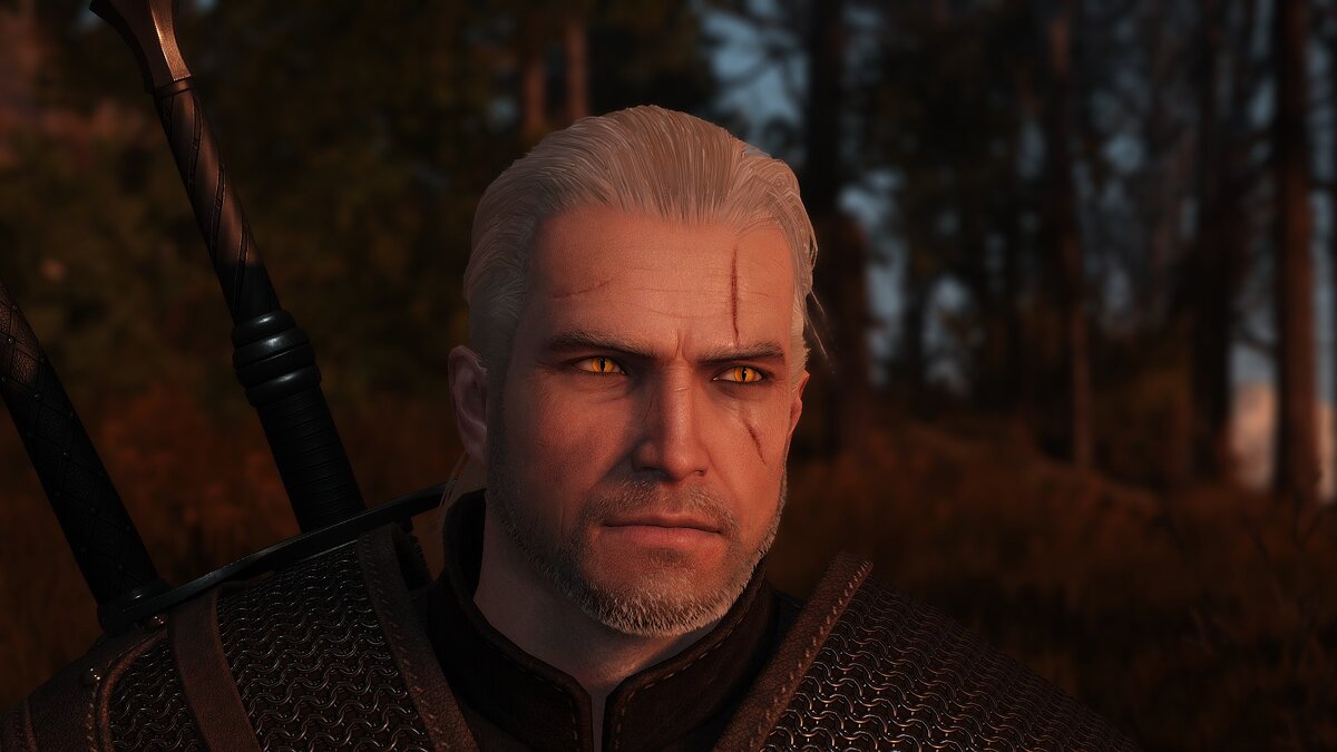 The witcher 3 мод молодой геральт фото 39